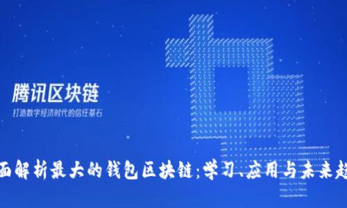 全面解析最大的钱包区块链：学习、应用与未来趋势