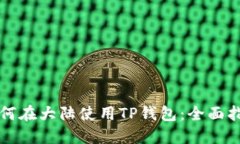 如何在大陆使用TP钱包：全