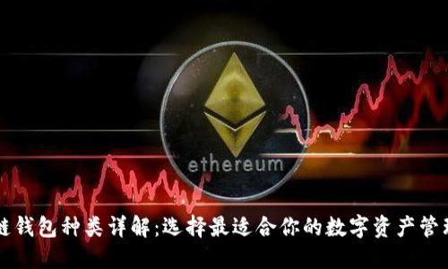 区块链钱包种类详解：选择最适合你的数字资产管理工具