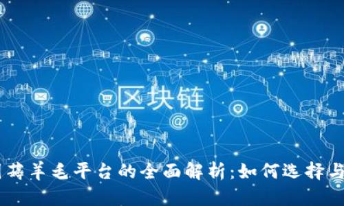 币圈薅羊毛平台的全面解析：如何选择与利用