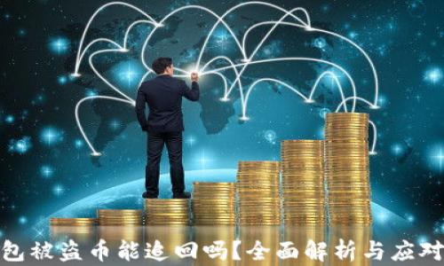 
TP钱包被盗币能追回吗？全面解析与应对措施