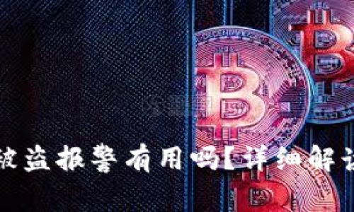 在TP钱包币被盗报警有用吗？详细解读与处置方案