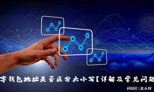 TP数字钱包地址是否区分大小写？详解及常见问题解答