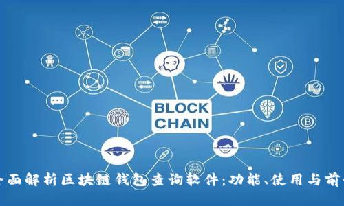 全面解析区块链钱包查询软件：功能、使用与前景