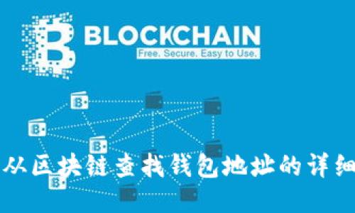 如何从区块链查找钱包地址的详细指南