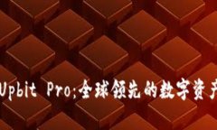 全面解析Upbit Pro：全球领