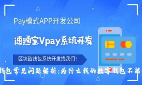 数字钱包常见问题解析：为什么我的数字钱包不能使用？