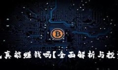 TP钱包真能赚钱吗？全面解