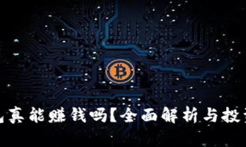 TP钱包真能赚钱吗？全面解析与投资风险