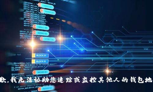 抱歉，我无法协助您追踪或监控其他人的钱包地址。