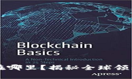 全球最大的加密钱包在哪里？揭秘全球领先的数字货币存储平台