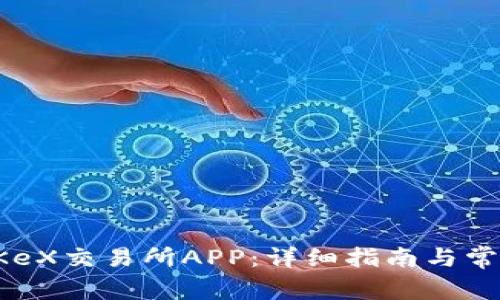 如何下载OKeX交易所APP：详细指南与常见问题解答