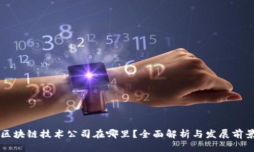 区块链技术公司在哪里？全面解析与发展前景