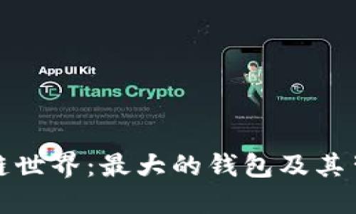 探秘区块链世界：最大的钱包及其背后的秘密