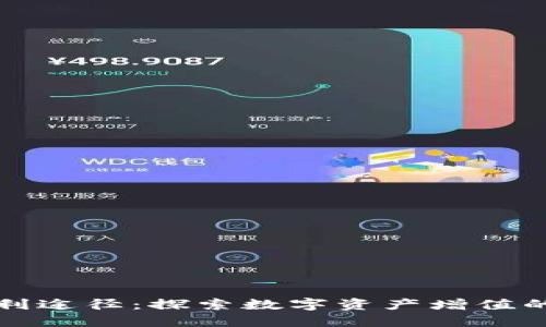 TP钱包盈利途径：探索数字资产增值的最佳方法