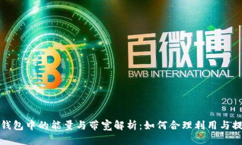 TP钱包中的能量与带宽解析：如何合理利用与提升