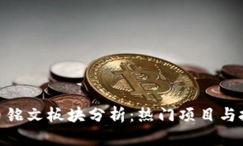 数字货币铭文板块分析：热门项目与投资机会