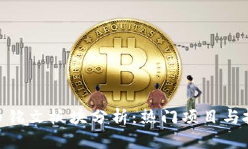 数字货币铭文板块分析：热门项目与投资机会