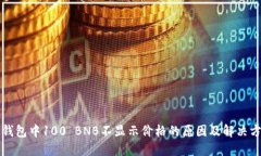 TP钱包中100 BNB不显示价格