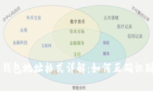 虚拟币钱包地址格式详解：如何正确识别及使用