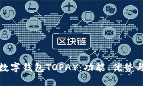 全面解析数字钱包TOPAY：功能、优势与未来发展