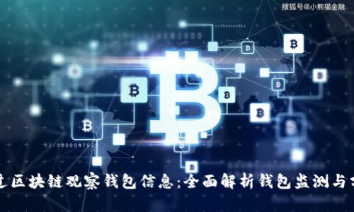 如何通过区块链观察钱包信息：全面解析钱包监测与分析技术
