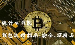 数字货币放什么钱包数字