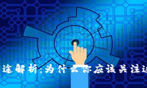 中本聪币的用途解析：为什么你应该关注这项加密货币？
