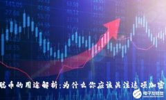 中本聪币的用途解析：为