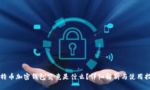 比特币加密钱包究竟是什么？详细解析与使用指南