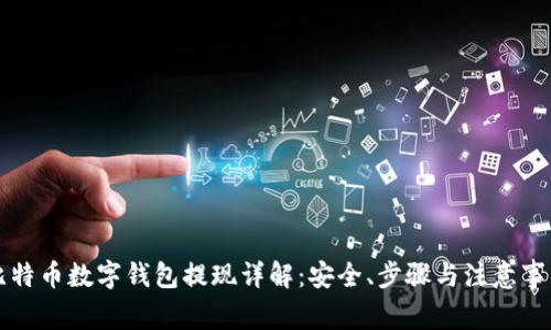 比特币数字钱包提现详解：安全、步骤与注意事项