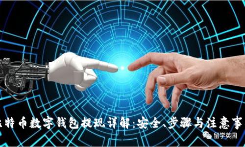 比特币数字钱包提现详解：安全、步骤与注意事项