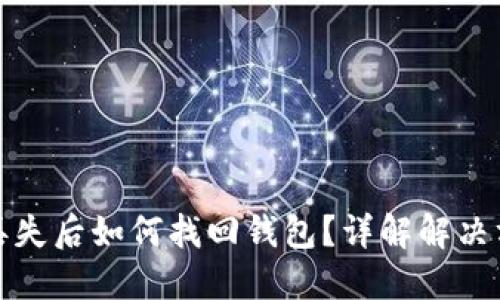 数字货币丢失后如何找回钱包？详解解决方案与技巧