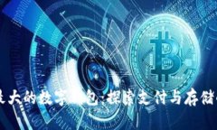 美国最大的数字钱包：探
