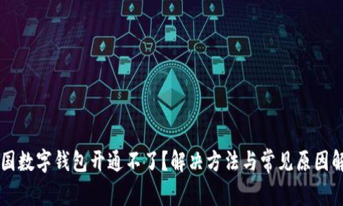 中国数字钱包开通不了？解决方法与常见原因解析
