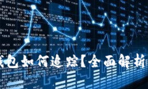 区块链冷钱包如何追踪？全面解析与实践指南
