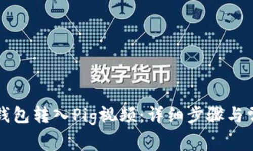 如何通过TP钱包转入Pig视频：详细步骤与常见问题解答