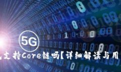 TP钱包支持Core链吗？详细