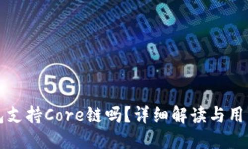 TP钱包支持Core链吗？详细解读与用户指南