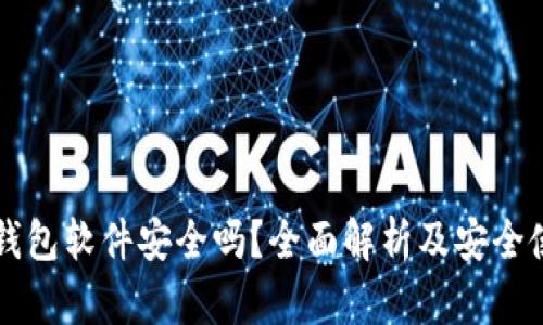 虚拟币钱包软件安全吗？全面解析及安全使用指南