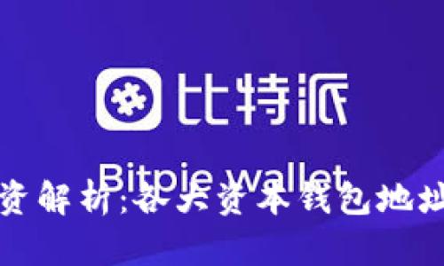 区块链投资解析：各大资本钱包地址深度揭秘