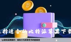 如何选择适合的比特派苹