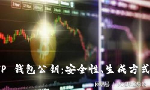 全面解析 TP 钱包公钥：安全性、生成方式及使用场景