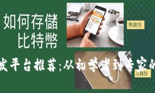 区块链开发平台推荐：从初学者到专家的最佳选择