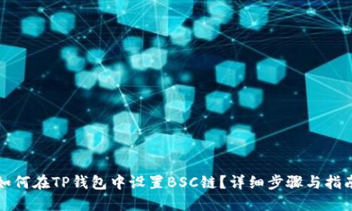 如何在TP钱包中设置BSC链？详细步骤与指南