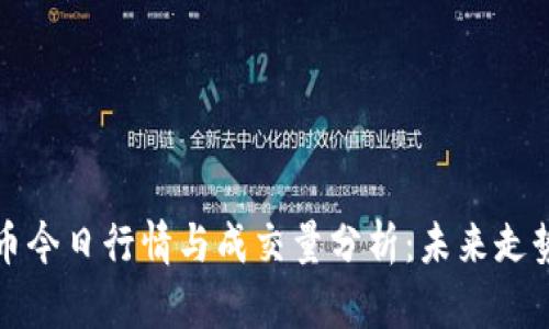 瑞波币今日行情与成交量分析：未来走势前瞻