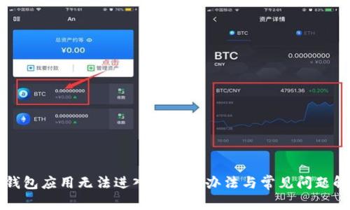 TP钱包应用无法进入的解决办法与常见问题解析