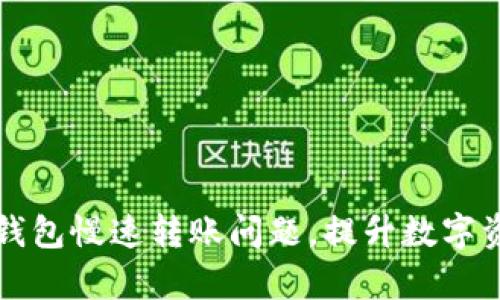 如何解决TP钱包慢速转账问题，提升数字资产交易效率