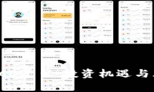虚拟币ICO平台：投资机遇与风险分析