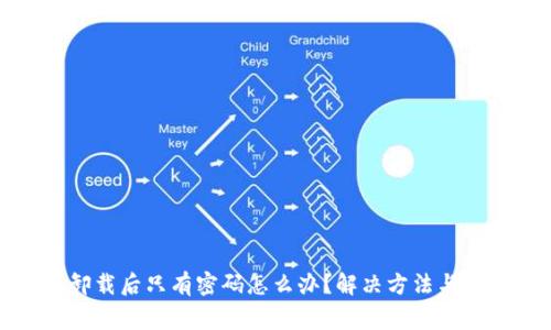 TP钱包卸载后只有密码怎么办？解决方法与注意事项